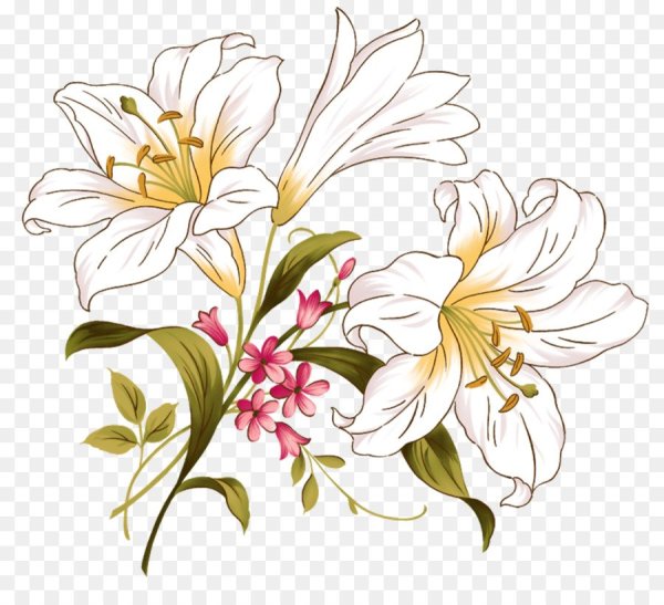 Лилия паттерн