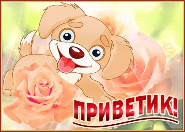 Тебе приветик