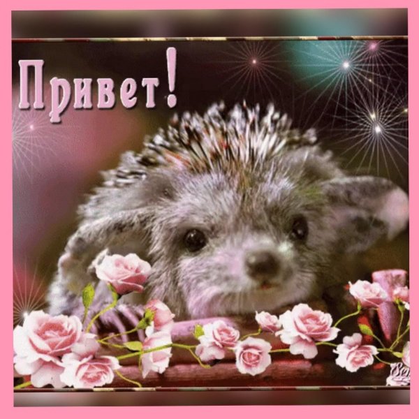 Мерцающие открытки привет