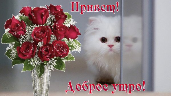 Привет милая