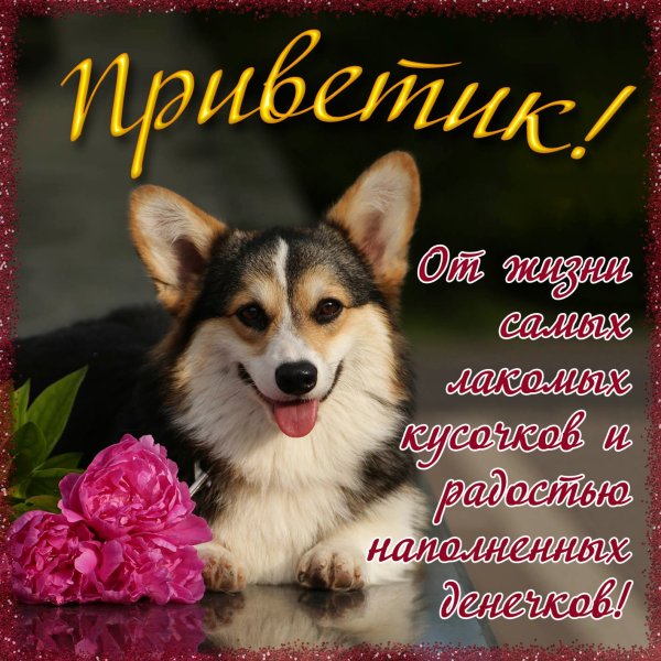 Привет картинки