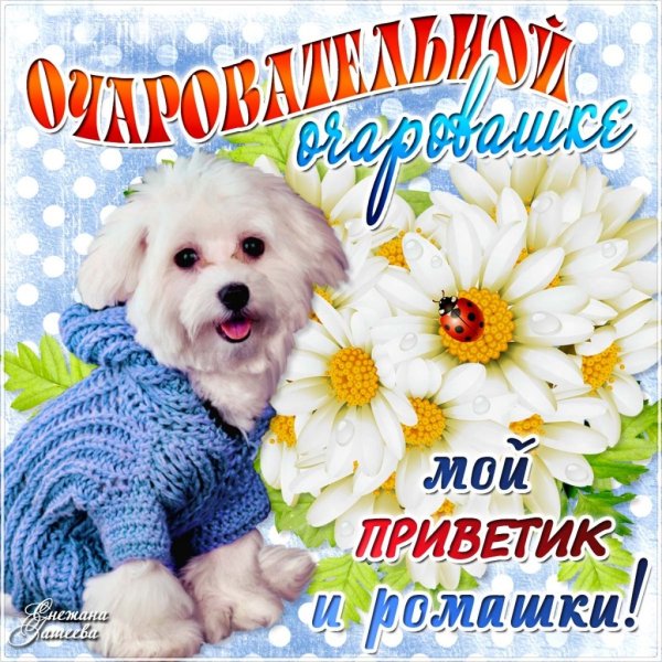 Поздравление самой красивой девушке