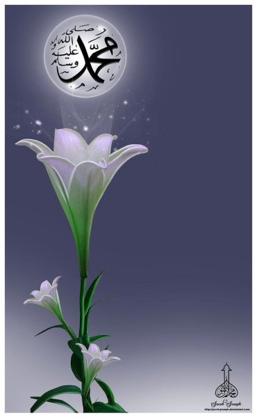 Красивые исламские цветы