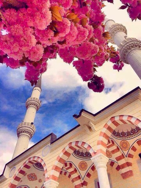 Мечеть с цветами