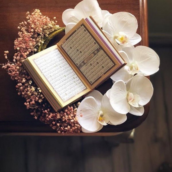 Коран Эстетика