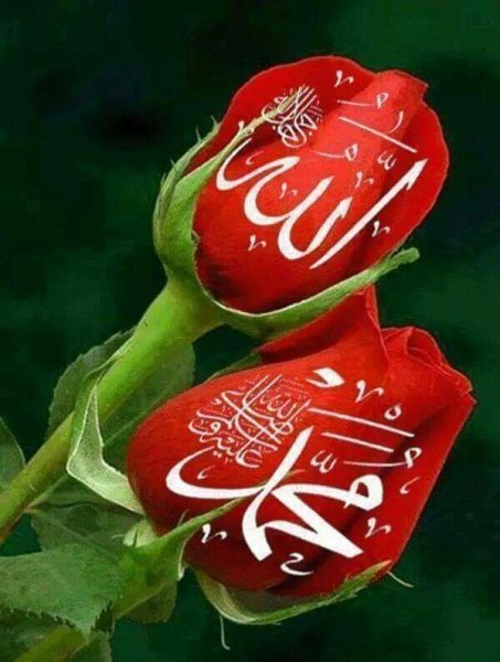 Цветы в Исламе