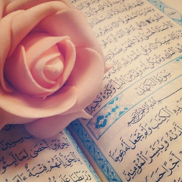 Коран и цветы