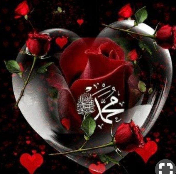 Мусульманская роза