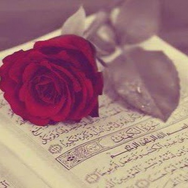Коран и роза