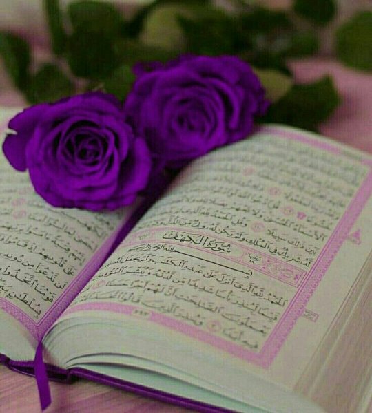 Мусульманки в платках со спины