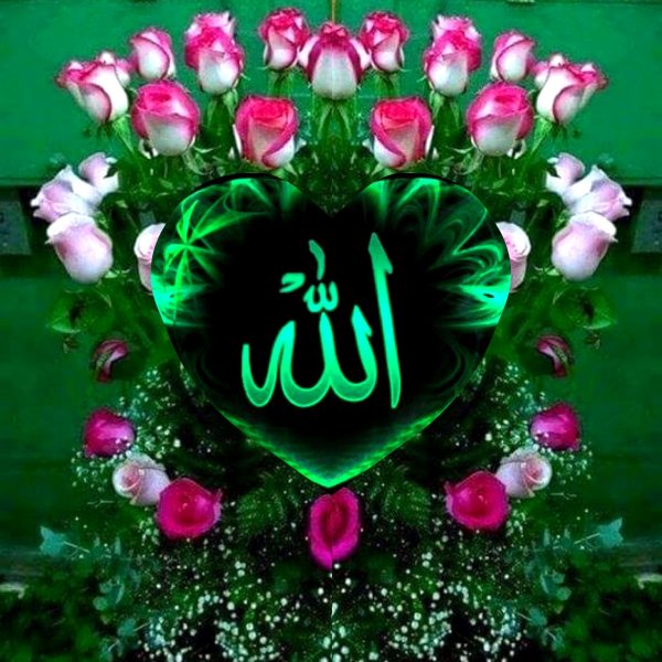 Женщины в никабе на природе