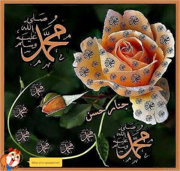 Девушка мусульманка цветы