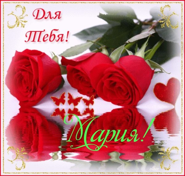 Красивые розы с надписью