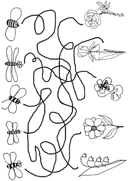 Насекомые задания для дошкольников