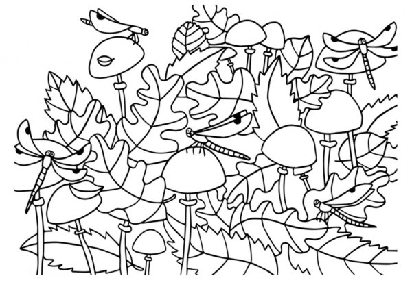 Найди и раскрась насекомых