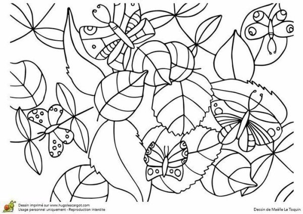 Нади и раскрась насекомых