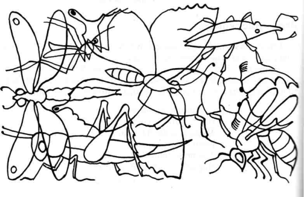 Насекомые задания для дошкольников