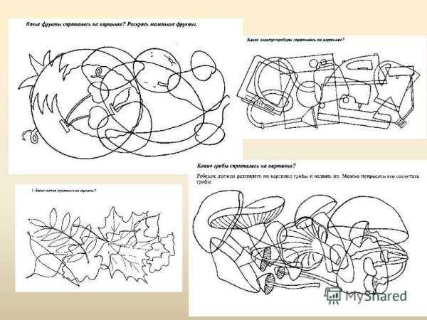 Задания на развитие зрительного восприятия школьников 3 класс