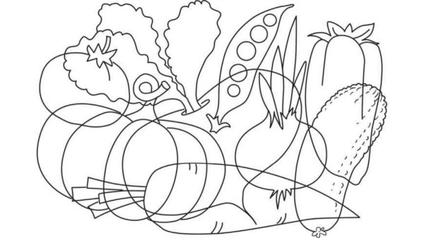 Задания для детей по теме деревья