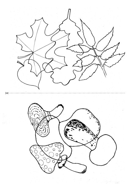 Путаница овощи