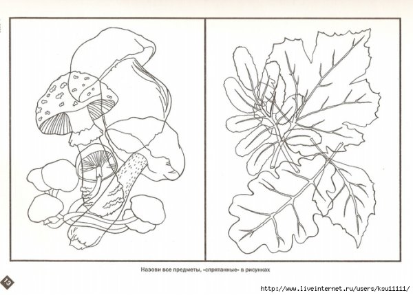 Упражнения на внимание для младших школьников