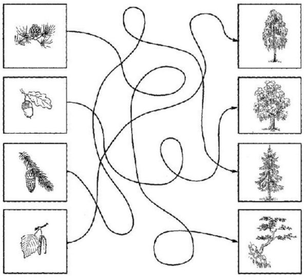 Предметные изображения наложенные друг на друга