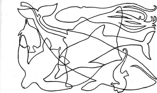 Наложение контуров овощей