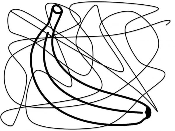 Насекомые задания для дошкольников