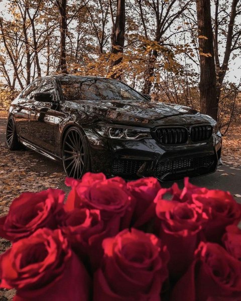 ءbmw mperfomens Россия