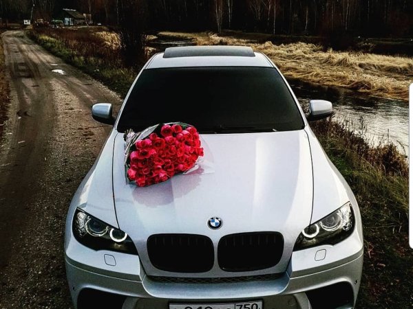 Цветы в БМВ х6