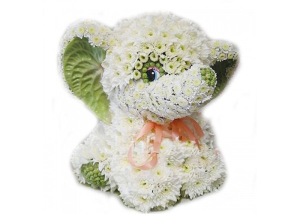 Букеты зверюшки из цветов