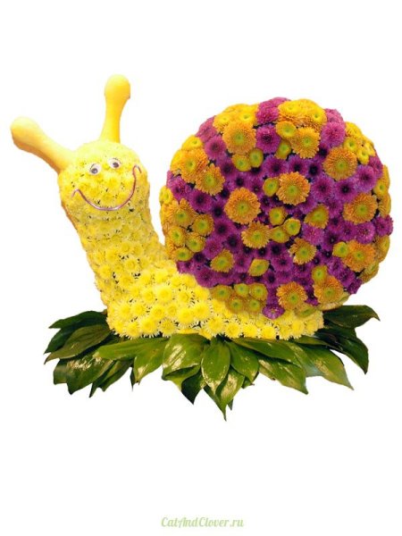 Зверюшки из живых цветов