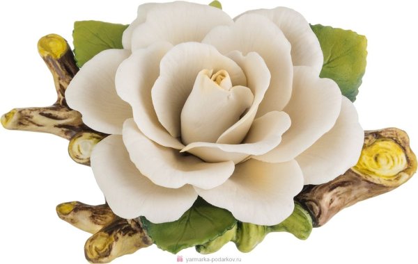 Цветы в виде животных