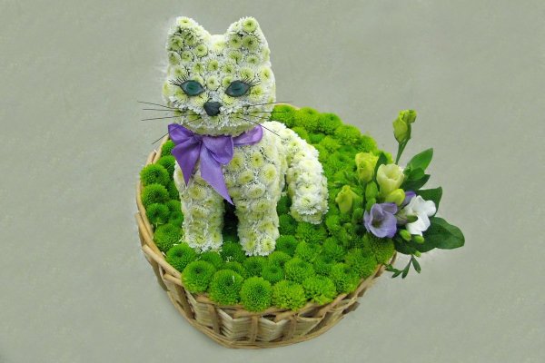 Животные из цветов