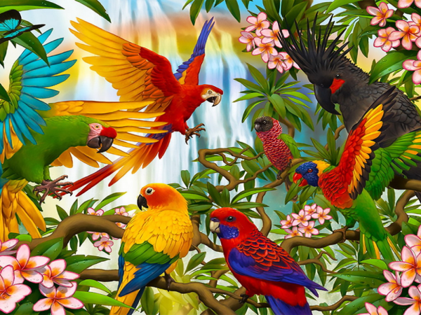 Тропический попугай