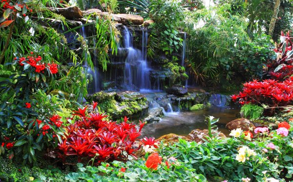 Аланья водопад цветы