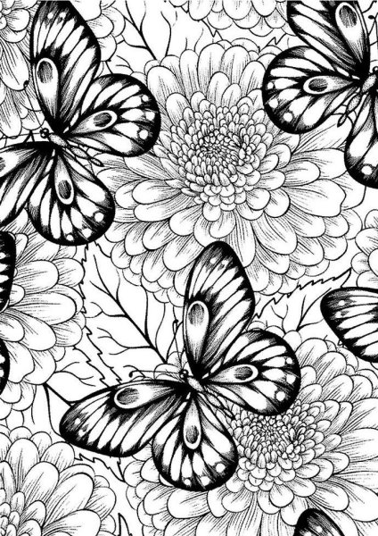 Раскраски Антресс цветы