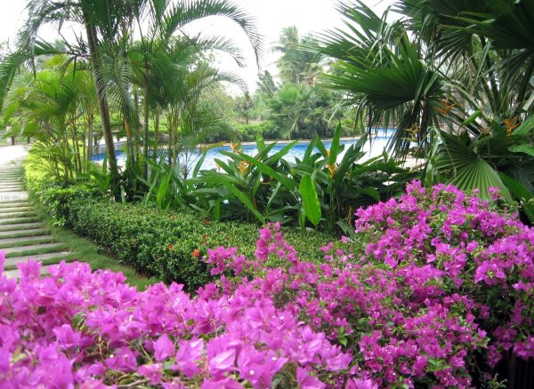 Природа Райский уголок