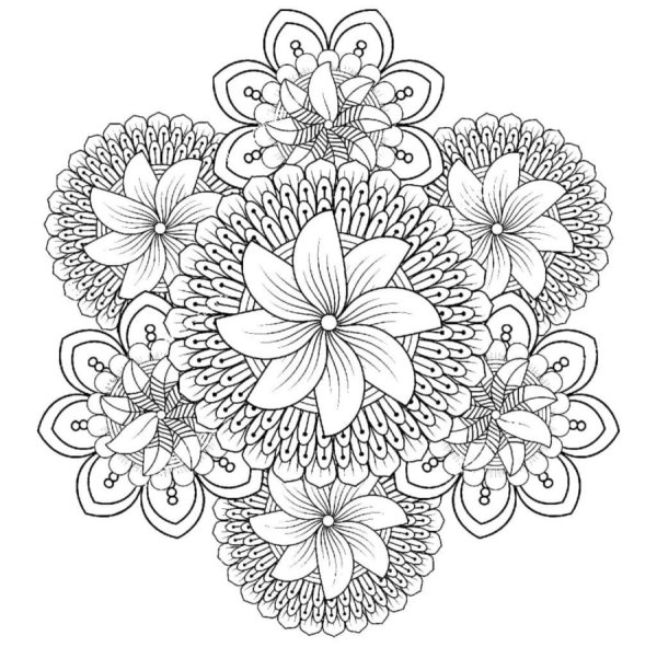 Раскраска антистресс "цветы"