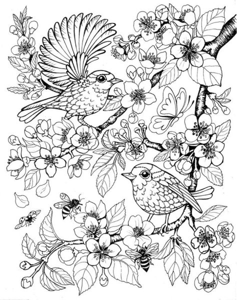 Раскраска антистресс "Мандала"