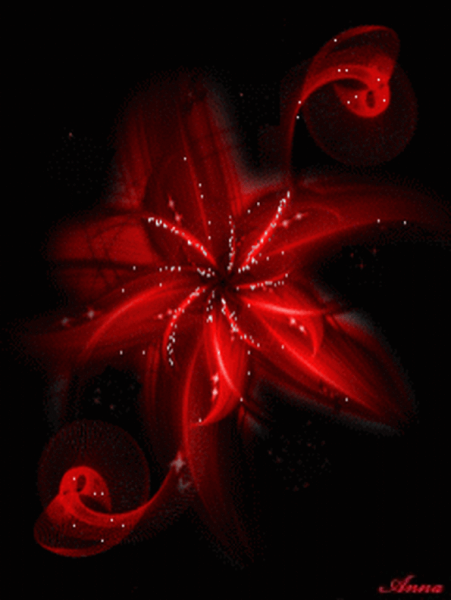 Обложка 960 на 320 цветы