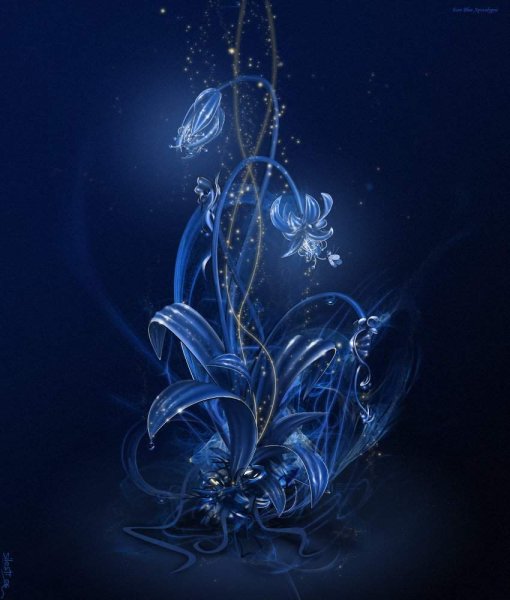 Цветы на телефон 240х320