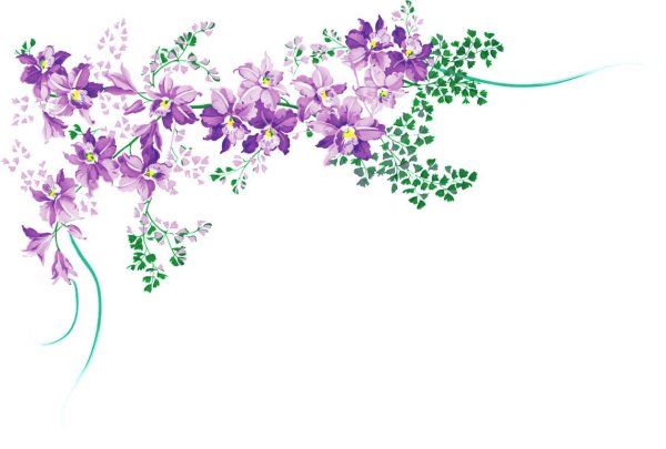 Цветы для визитки на прозрачном фоне