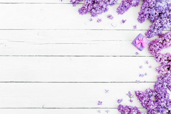 Красивый фон для надписи текста