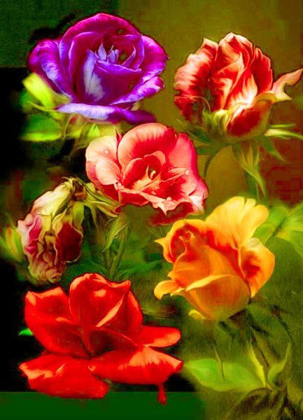 Цветы с фильтром