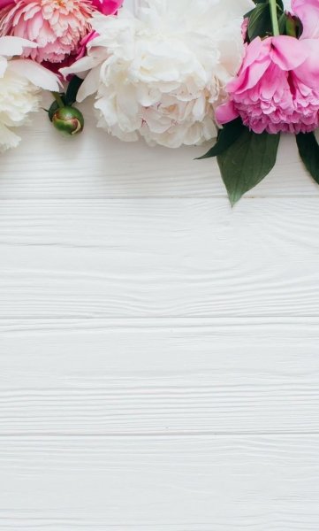 Цветочный фон для сторис