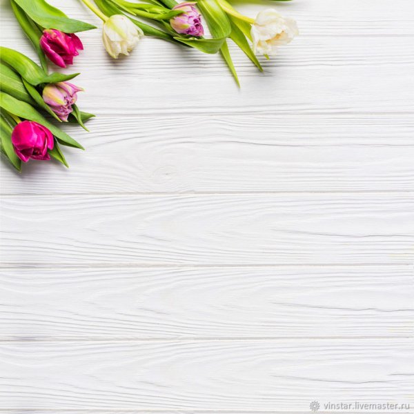 Тюльпаны фон для Инстаграм