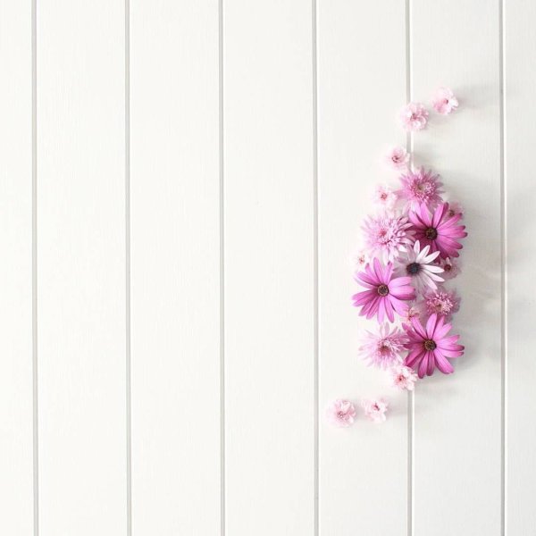 Фотофон в розовых тонах