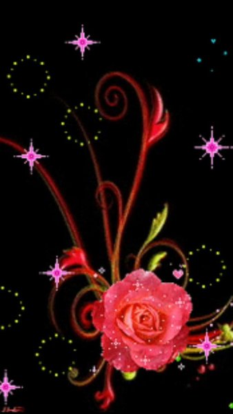 Красивые фиолетовые бабочки