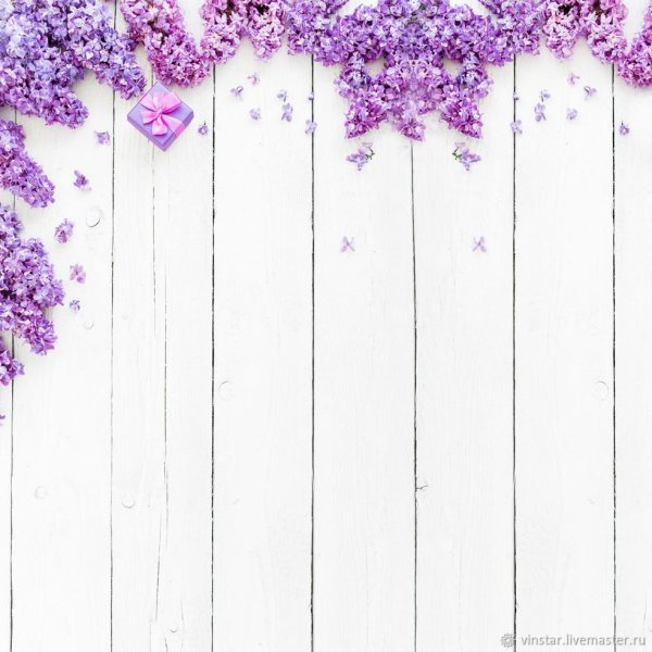 Фотофон в сиреневых тонах